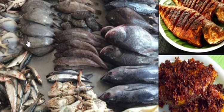 mangalore fish