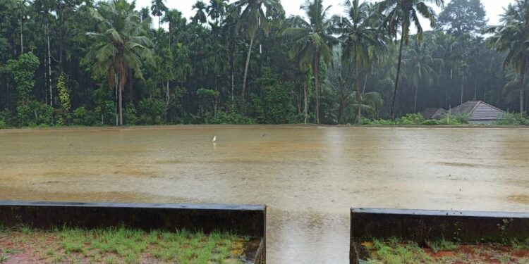 karnataka imd-predicts-heavy-rain-and-yellow-aleret-in-5-districts
