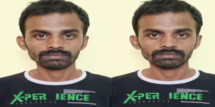 Bengaluru news crime accused-arrested-for-who-perversion-rampant-with-cows