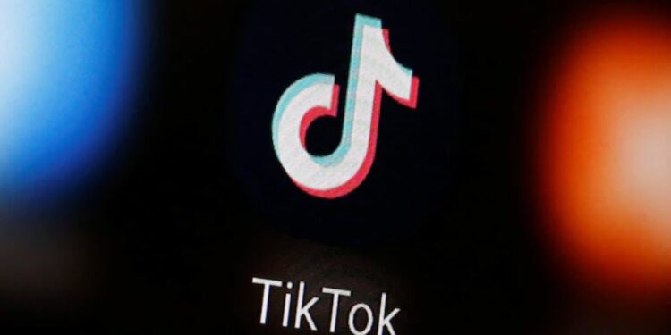 TikTok back to India-bgmi-coming-back-to-india