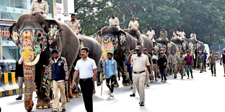 mysore dasara